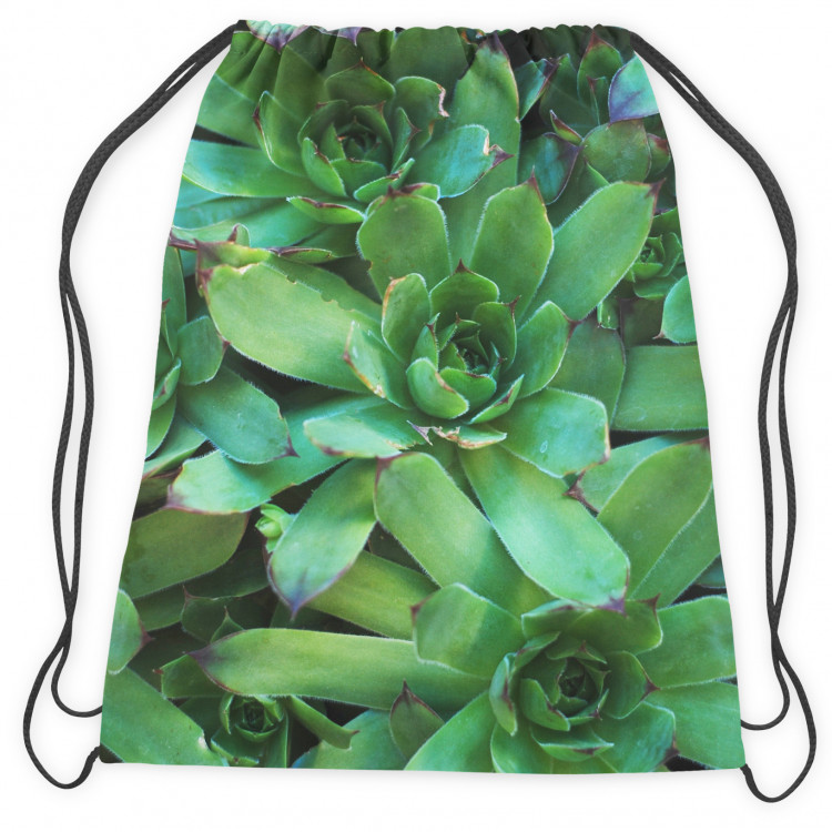 Backpack Flower bed stars - a plant composition with rich detailing 147387 additionalImage 2