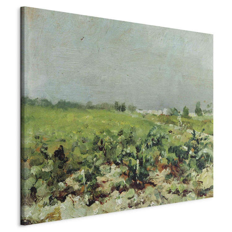 Canvas Celeyran, View of the Vineyard 158387 additionalImage 2