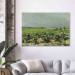Canvas Celeyran, View of the Vineyard 158387 additionalThumb 3