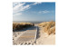 Wall Mural Langeoog - Sandy Beach of the North Sea under the Blue Sky 61587 additionalThumb 1