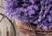 Large Canvas Secret Lavender Bouquet [Large Format] 136408 additionalThumb 4