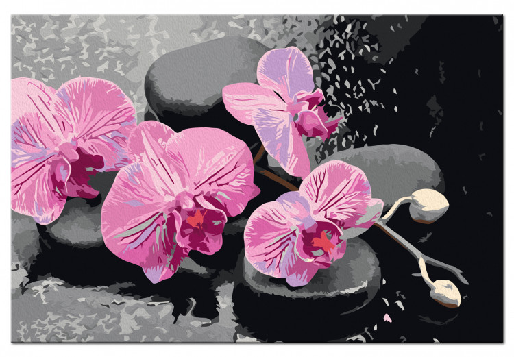 Paint by Number Kit Orchids and Stones 107518 additionalImage 6