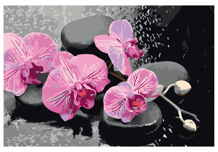 Paint by Number Kit Orchids and Stones 107518 additionalImage 7