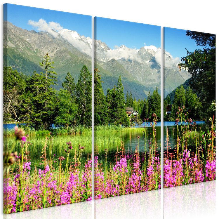 Canvas Spring in the Alps (3 Parts) 126228 additionalImage 2