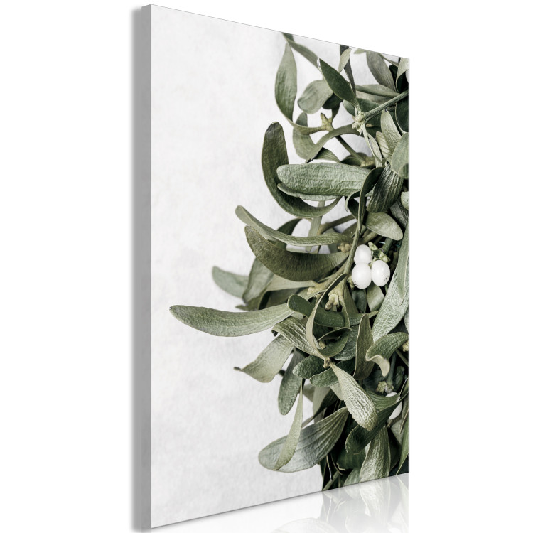 Canvas Mistletoe leaves - winter, botanical photography on white background 130728 additionalImage 2