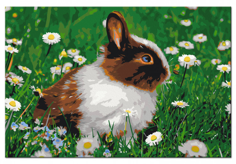 Paint by Number Kit Rabbit in the Meadow 134538 additionalImage 6