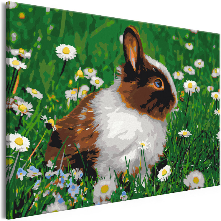 Paint by Number Kit Rabbit in the Meadow 134538 additionalImage 5