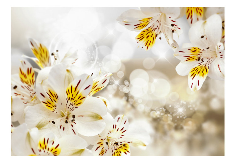 Wall Mural Nature - white and yellow lily flower motif in soft sunlight 88838 additionalImage 1