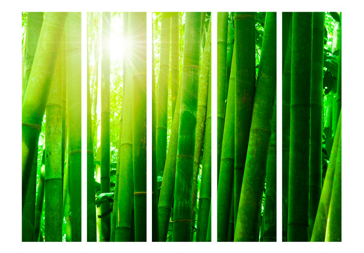Room Divider Sun and bamboo II [Room Dividers] 133248 additionalImage 3