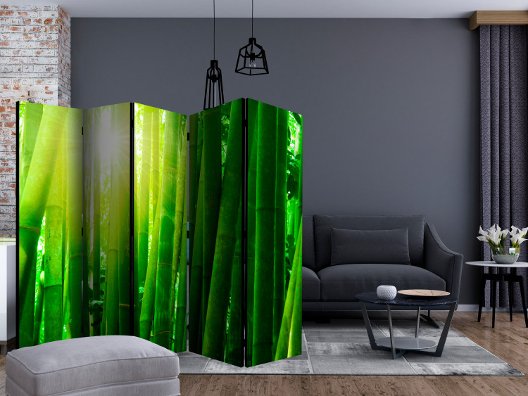 Room Divider Sun and bamboo II [Room Dividers] 133248 additionalImage 4