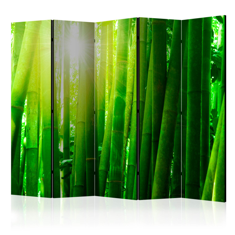 Room Divider Sun and bamboo II [Room Dividers] 133248