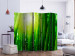 Room Divider Sun and bamboo II [Room Dividers] 133248 additionalThumb 2