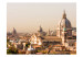 Wall Mural Rome and bird's eye view 96848 additionalThumb 1