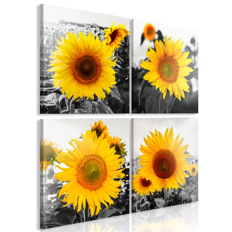 Canvas Sunflower Quartet (4 Parts) 124358 additionalImage 2