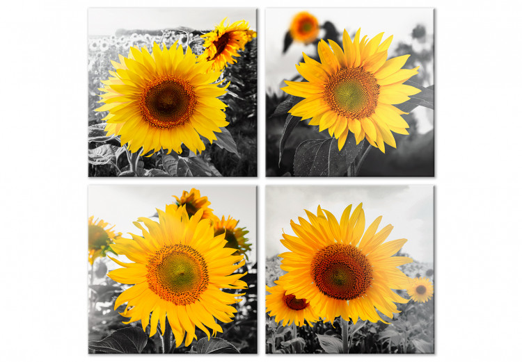 Canvas Sunflower Quartet (4 Parts) 124358