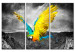 Canvas Bird-of-paradise 55658