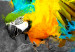 Canvas Bird-of-paradise 55658 additionalThumb 5
