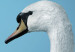 Canvas A swan in blue 58658 additionalThumb 5