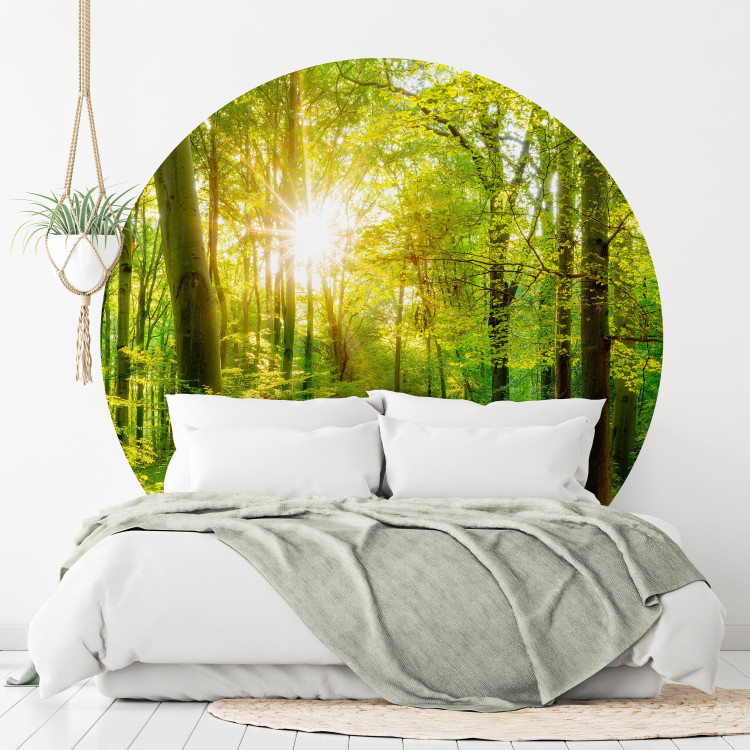 Round wallpaper Deciduous Forest - Spectacular Sunrise Between the Trees 149168