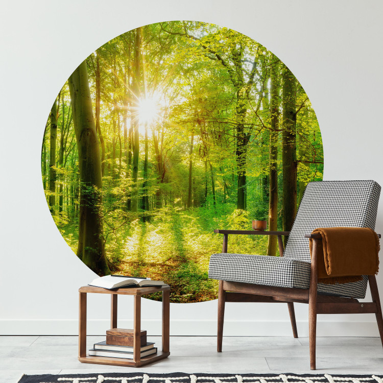Round wallpaper Deciduous Forest - Spectacular Sunrise Between the Trees 149168 additionalImage 2