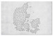 Canvas Network Denmark - Networked Map on a light-gray background 135178