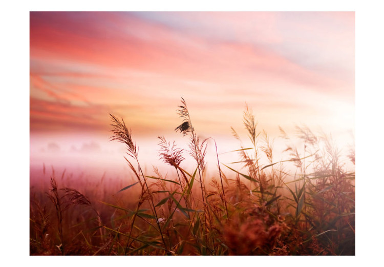 Wall Mural Morning meadow 60478 additionalImage 1