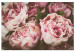 Canvas Bouquet of Pastel Flowers (1-part) - Peonies in Pink Shade 116388