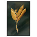 Poster Golden Vegetation - Bouquet of Leaves on a Dark Green Background 145488 additionalThumb 17
