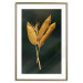 Poster Golden Vegetation - Bouquet of Leaves on a Dark Green Background 145488 additionalThumb 20