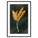 Poster Golden Vegetation - Bouquet of Leaves on a Dark Green Background 145488 additionalThumb 19