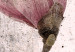 Canvas Mature Magnolia (1 Part) Vertical 118598 additionalThumb 5
