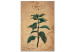 Canvas Mint sprig retro-style graphic with inscriptions 129398