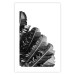 Poster Banana Fan - gray leaves with distinct texture on a white background 135598 additionalThumb 9