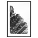 Poster Banana Fan - gray leaves with distinct texture on a white background 135598 additionalThumb 5