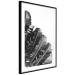 Poster Banana Fan - gray leaves with distinct texture on a white background 135598 additionalThumb 18