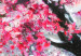 Canvas Blossoming Cherry - Japanese Motif Against the Background of a Landscape With a Mountain and the Moon 147709 additionalThumb 4