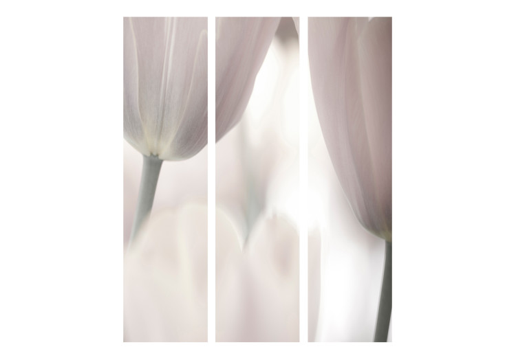Room Divider Tulips Fine Art - Black and White - tulips in faded contrast 133919 additionalImage 3