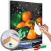 Paint by Number Kit Fresh Tangerines 143319