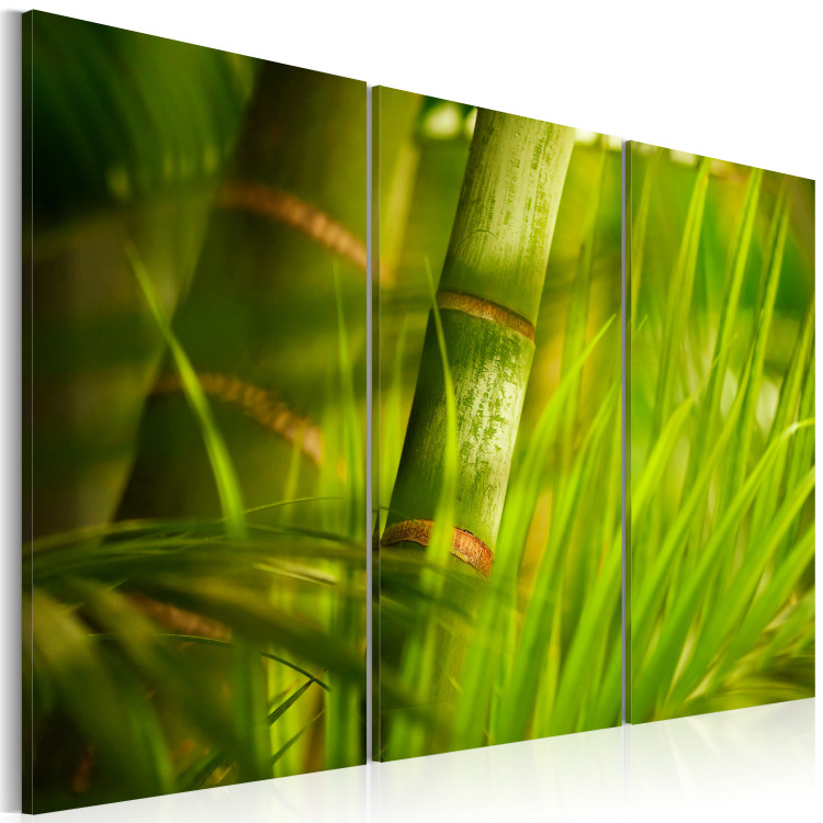 Canvas Fresh green tropical grass 58519 additionalImage 2