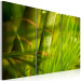 Canvas Fresh green tropical grass 58519 additionalThumb 2