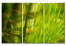 Canvas Fresh green tropical grass 58519