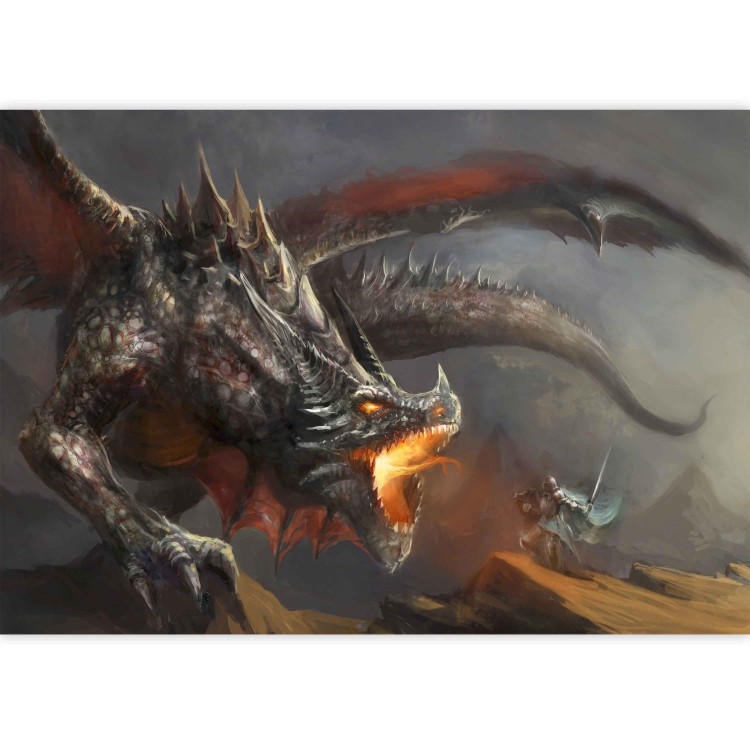 Wall Mural Dragon fire 59719 additionalImage 4