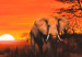 Canvas Solitary elephant 49629 additionalThumb 2