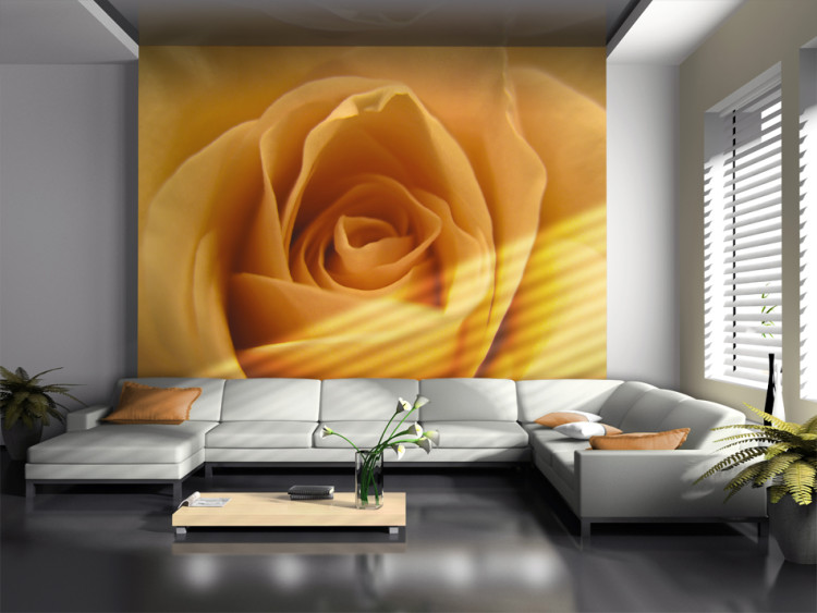 Wall Mural Yellow Rose - Natural Close-up of a Rose Flower Petal 60329