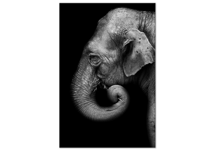 Canvas Portrait of Elephant (1 Part) Vertical 116449
