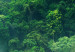 Canvas Lush Forest (1 Part) Vertical 125749 additionalThumb 4