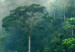 Canvas Lush Forest (1 Part) Vertical 125749 additionalThumb 5