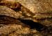 Canvas Golden horse - abstraction with a HIPPIC motif in golden scratches 135049 additionalThumb 4