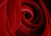 Canvas Midnight rose 58749 additionalThumb 3
