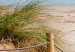 Canvas Beach After Rain 98559 additionalThumb 5